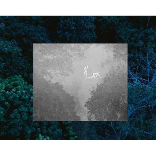 Квадрокоптер Autel Robotics EVO II Dual 640T (Thermal) Enterprise в самой максимальной топовой комплектации в Артеме